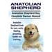 Anatolian Shepherd. Anatolian Shepherd Dog Complete Owners Manual. Anatolian Shepherd book for care, costs, feeding, grooming, health and training.