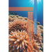 Blue Economy Strategies: Advancing Marine Policy, Ocean Governance, Sustainable Fisheries, Renewable Energy, Biodiversity, and Coastal Management