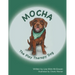 Mocha The Play Therapy Dog