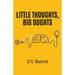 Little Thoughts, Big Oughts