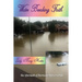 Water Breaking Faith: The Aftermath of Hurricane Harvey's Path