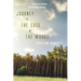 Journey to the Edge of the Woods: Women of Cultures Healing from Trauma