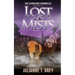 Lost in the Mists: Christian Mystery & Suspense Romance