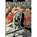 Frankenstein: The Graphic Novel