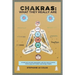 Chakras: What They Really Are: A Brief but Concrete Explanation with the Help of Science, Tantra Yoga and Modern Psychology Insights.