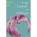 Coin Laundry at Midnight