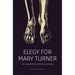 Elegy for Mary Turner: An Illustrated Account of a Lynching