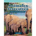Animales Terrestres: Resolver Ecuaciones Y Desigualdades