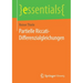 Partielle Riccati-Differenzialgleichungen