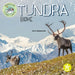 Tundra Biome