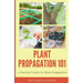 Plant Propagation 101: A Practical Guide In Plant Propagation