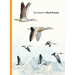 The Book of Bird Poems