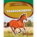 Thoroughbred