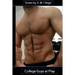 College Guys at Play: Four Gay Stories