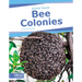 Bee Colonies