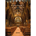 A.W.N. Pugin