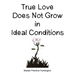 True Love Does Not Grow in Ideal Conditions