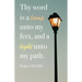 General Worship Bulletin: Light (Package of 100): Psalm 119:105 (Kjv)