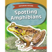 Spotting Amphibians
