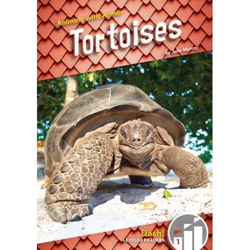 Tortoises
