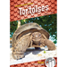 Tortoises