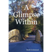 A Glimpse Within