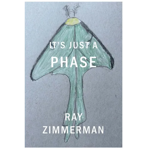 It's Just A Phase