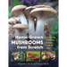 Home-Grown Mushrooms from Scratch: A Practical Guide to Cultivating Mushrooms Outside and Indoors