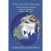 Fire on the Steppe: A Historical Novel of Russia and the United States Book 1: 1904 - 1916