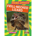 Frill-Necked Lizard