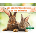 Las Asombrosas Orejas de Los Animales (Different Ears of Animals)