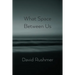 What Space Between Us