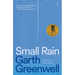 Small Rain
