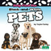 Help Find the Black-And-White Pets