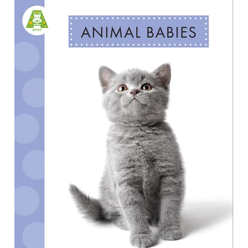 Animal Babies