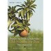 Book Three Products from Under the Old Naseberry Tree: The Coming of Age