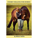 Energy Healing for Horses: A Comprehensive Guide to Learning