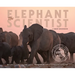The Elephant Scientist