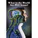 What in the World are PET Scans?
