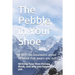 The Pebble in Your Shoe: Writing Your Non-fiction Book, and Why You Haven't - Yet.