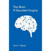 The Brain, A Decoded Enigma
