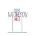 Crossing the Narrow Bridge: A Practical Guide to Rebbe Nachman's Teachings