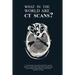 What in the World are CT Scans?