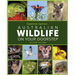 Australian Wildlife on Your Doorstep
