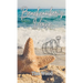 Beachcomber's Verse