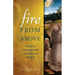 Fire from Above: Christian Contemplation and Mystical Wisdom