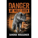 Danger at Wolf Rock