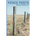 Fence Posts