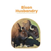 Bison Husbandry: An Exhaustive Manual on a Proficient Market.