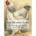 The Brahma Fowl